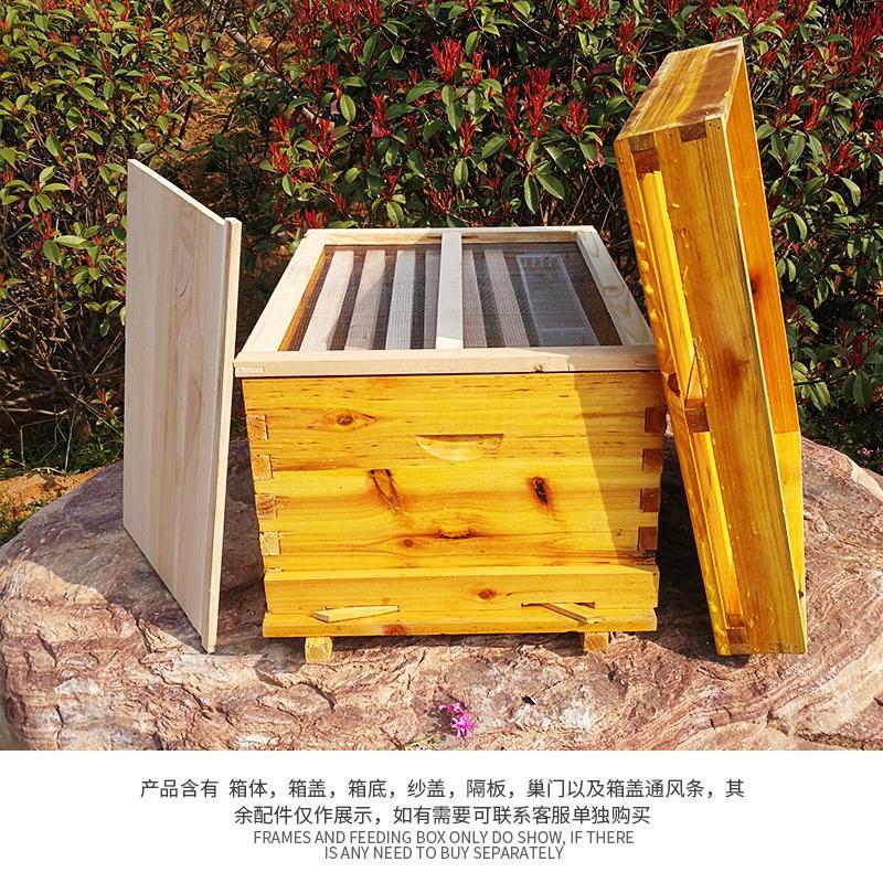 Beehive Frame Wax - 養蜂用具一式、蜂の巣、松の木で作られた蜂の巣、標準的な10フレーム式蜂の巣。