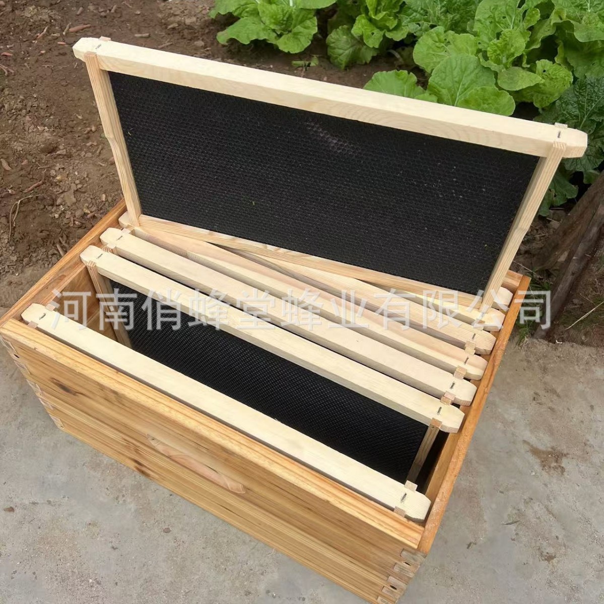 養蜂器具　一流のノンスリッププラスチック製巣床　巣床　松製巣 - Beehive Frame Wax のレビューと価格