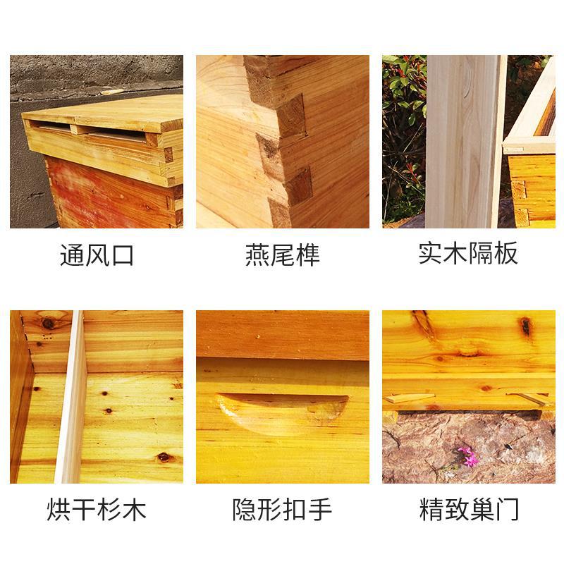 養蜂用具一式、蜂の巣、松の木で作られた蜂の巣、標準的な10フ - Beehive Frame Wax のレビューと価格