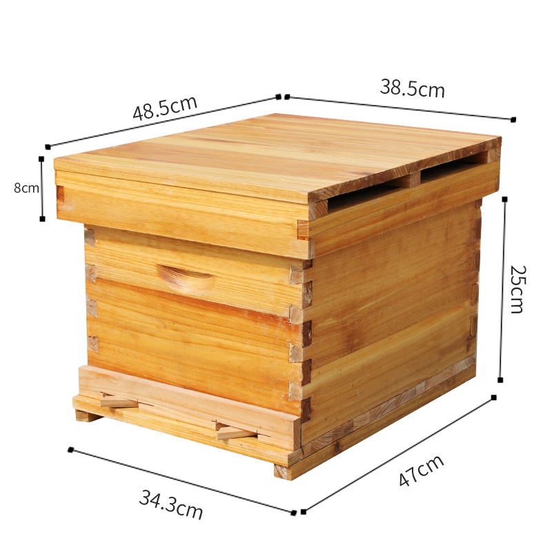 養蜂用具一式、蜂の巣、松の木で作られた蜂の巣、標準的な10フ - Beehive Frame Wax のレビューと価格