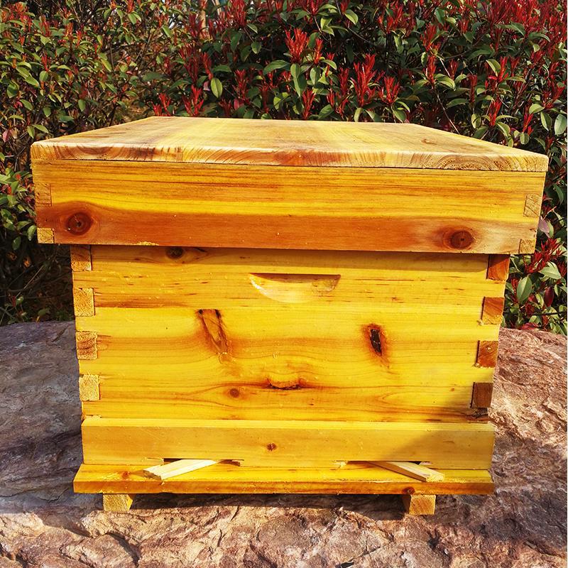 養蜂用具一式、蜂の巣、松の木で作られた蜂の巣、標準的な10フ - Beehive Frame Wax のレビューと価格